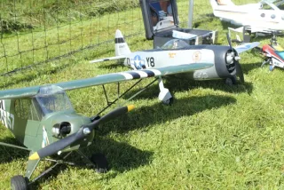 Freundschaftsfliegen