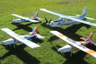 Freundschaftsfliegen