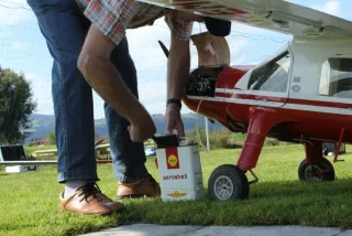 Freundschaftsfliegen