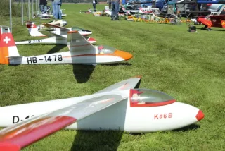 Freundschaftsfliegen