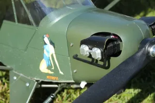 Freundschaftsfliegen