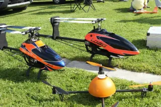 Freundschaftsfliegen