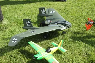 Freundschaftsfliegen