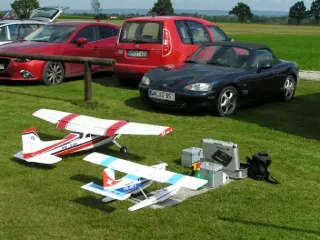 Freundschaftsfliegen