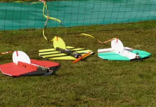 Freundschaftsfliegen