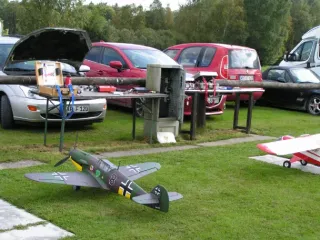 Freundschaftsfliegen