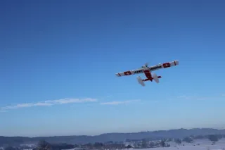 Neujahrsfliegen
