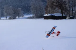 Neujahrsfliegen