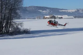 Neujahrsfliegen