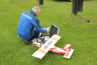 Vatertagsfliegen
