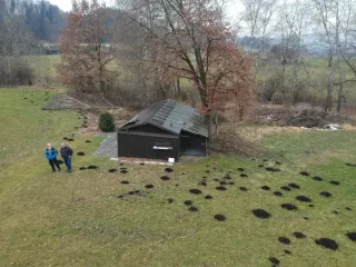 Winterfliegen