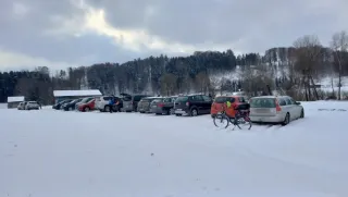 Winterfliegen