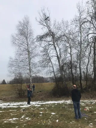 Winterfliegen