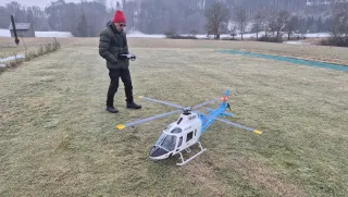 Winterfliegen